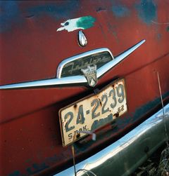 Danny Lyon: Junk